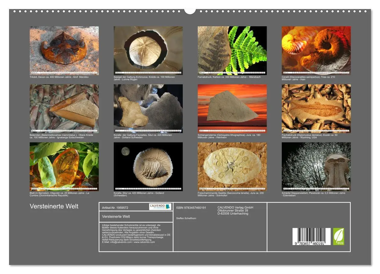 Bild: 9783457460191 | Versteinerte Welt (hochwertiger Premium Wandkalender 2026 DIN A2...