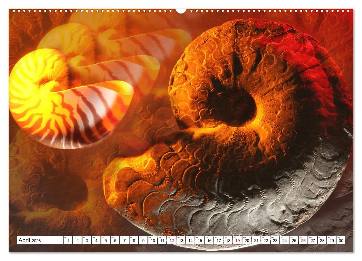 Bild: 9783457460191 | Versteinerte Welt (hochwertiger Premium Wandkalender 2026 DIN A2...