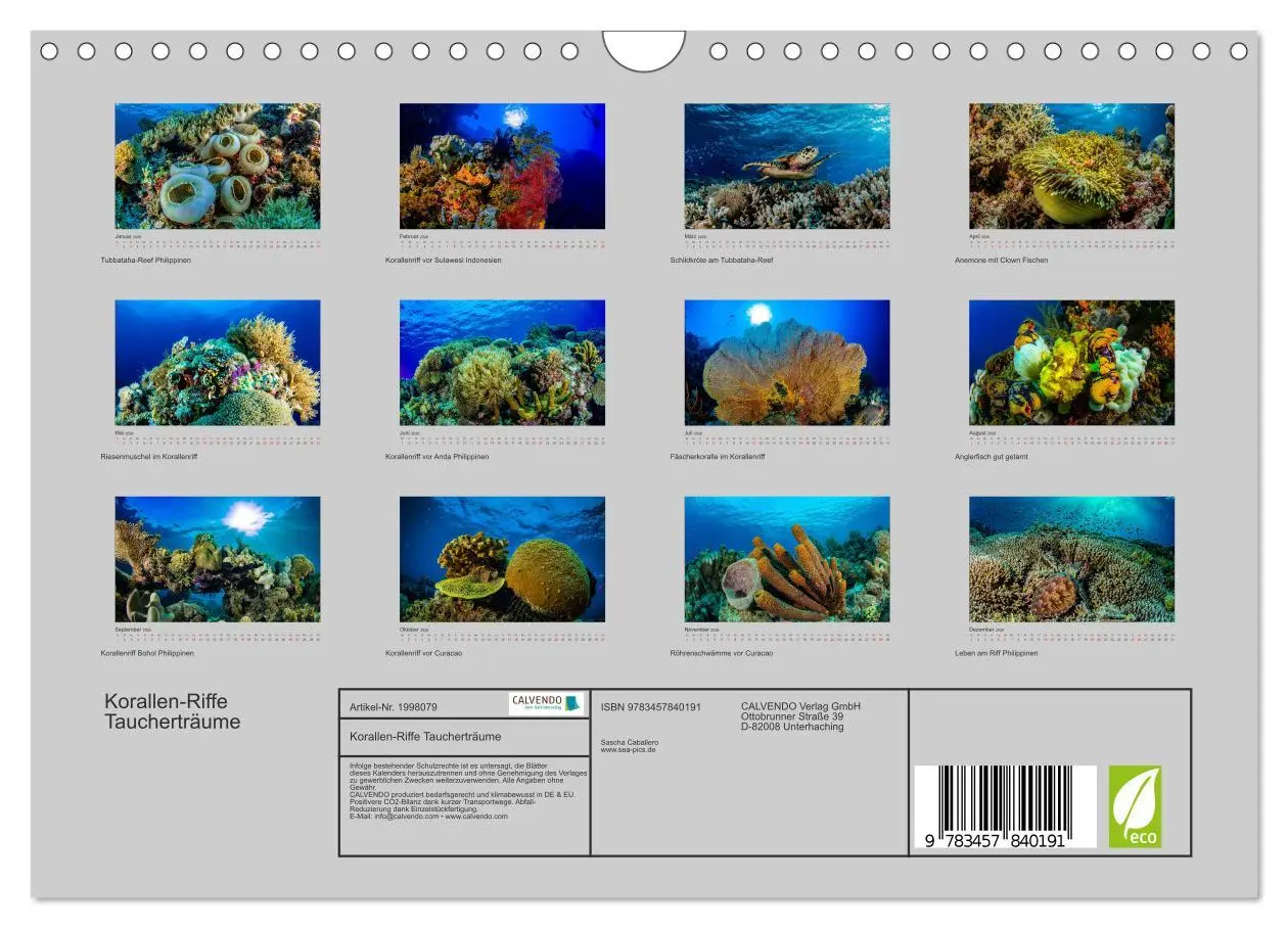 Bild: 9783457840191 | Korallen-Riffe Taucherträume (Wandkalender 2026 DIN A4 quer),...