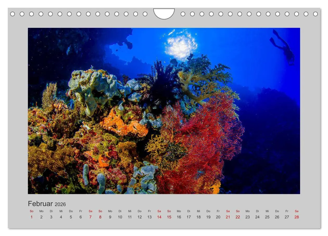 Bild: 9783457840191 | Korallen-Riffe Taucherträume (Wandkalender 2026 DIN A4 quer),...