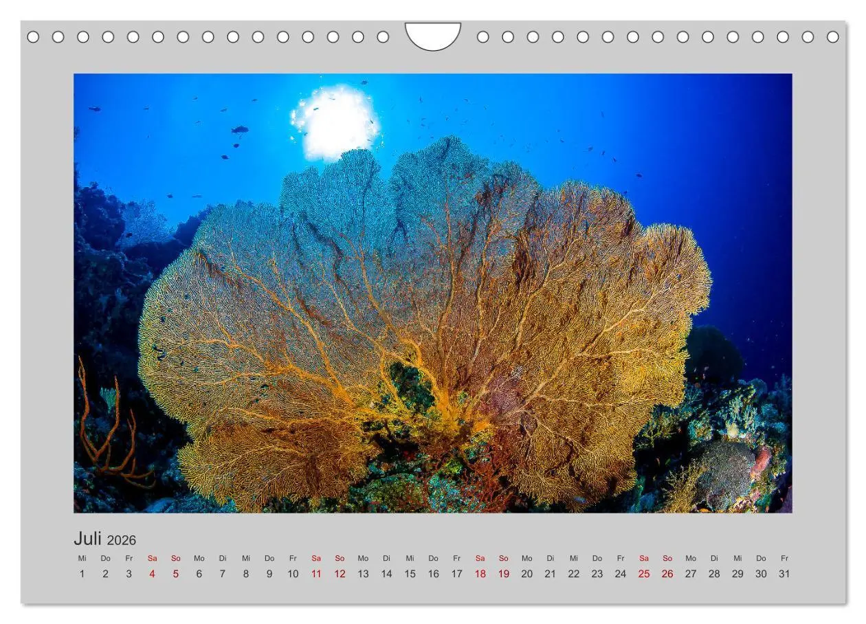 Bild: 9783457840191 | Korallen-Riffe Taucherträume (Wandkalender 2026 DIN A4 quer),...