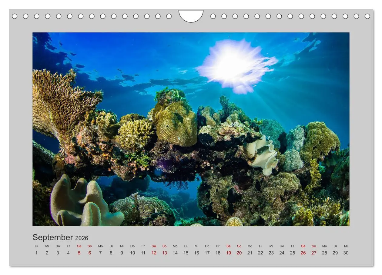 Bild: 9783457840191 | Korallen-Riffe Taucherträume (Wandkalender 2026 DIN A4 quer),...