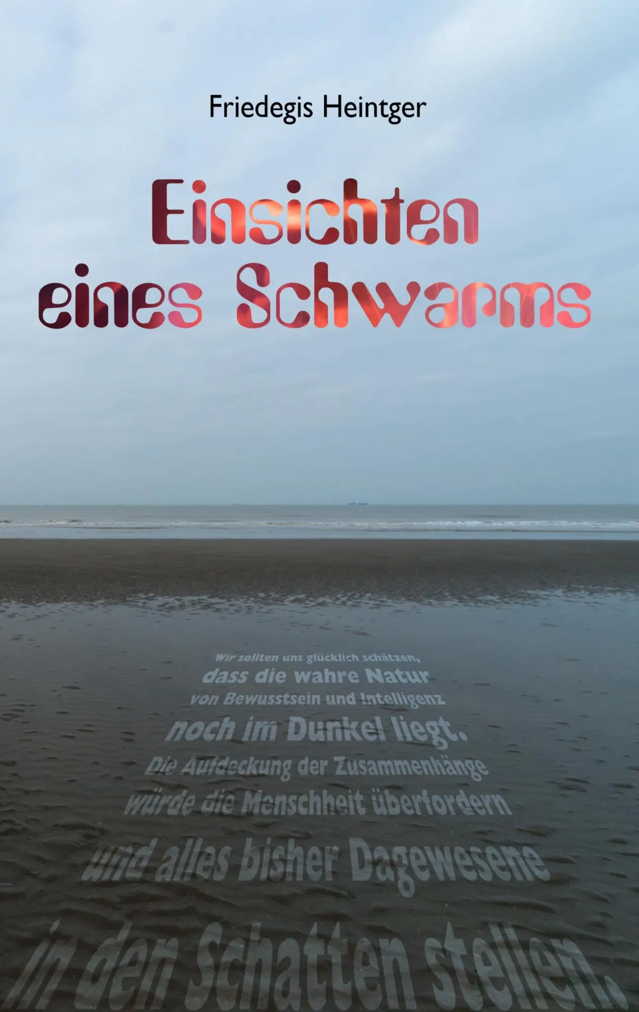 Cover: 9783738620191 | Einsichten eines Schwarms | Friedegis Heintger | Taschenbuch | 332 S.