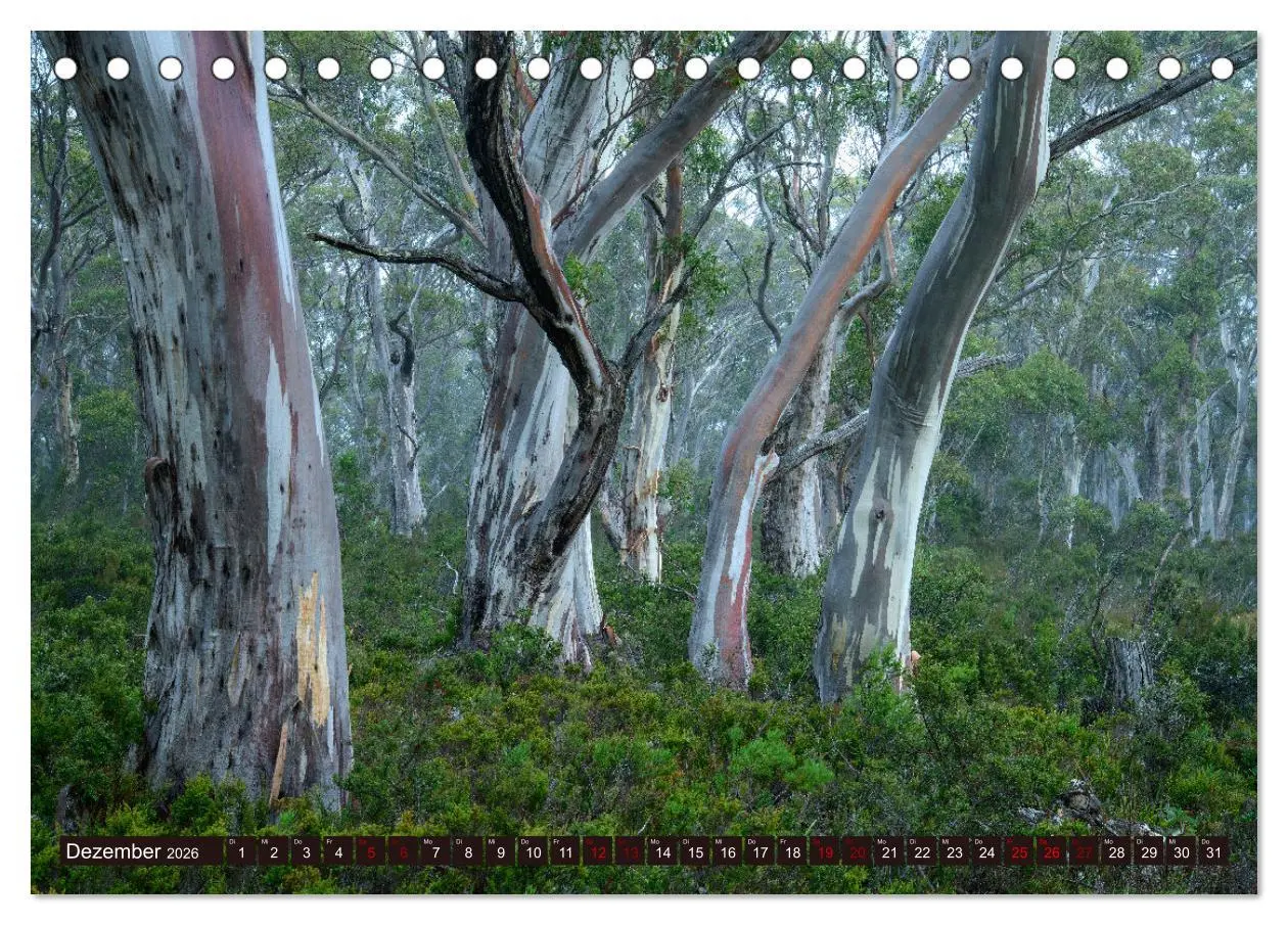 Bild: 9783457380291 | Traumpfade Australien (Tischkalender 2026 DIN A5 quer), CALVENDO...