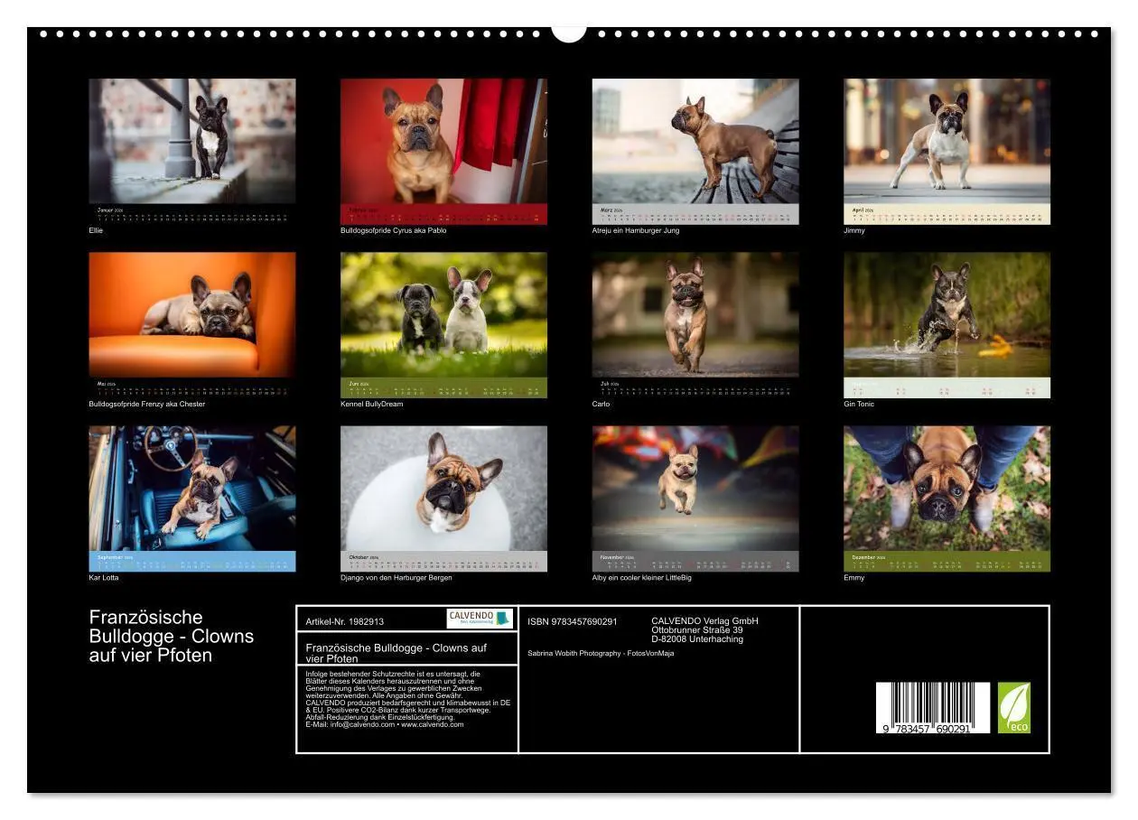 Bild: 9783457690291 | Französische Bulldogge - Clowns auf vier Pfoten (hochwertiger...