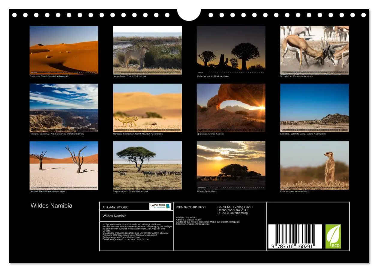 Bild: 9783516160291 | Wildes Namibia (Wandkalender 2026 DIN A4 quer), CALVENDO...