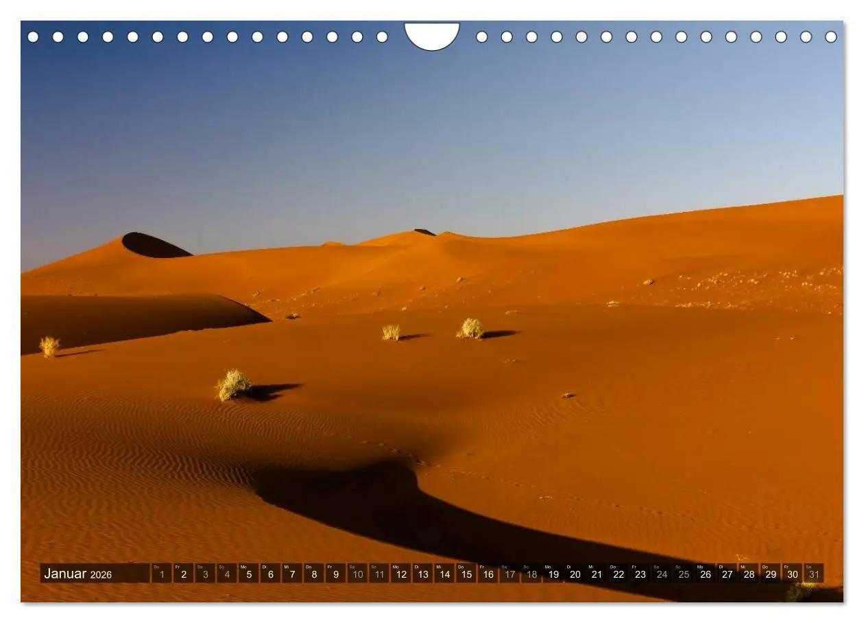 Bild: 9783516160291 | Wildes Namibia (Wandkalender 2026 DIN A4 quer), CALVENDO...