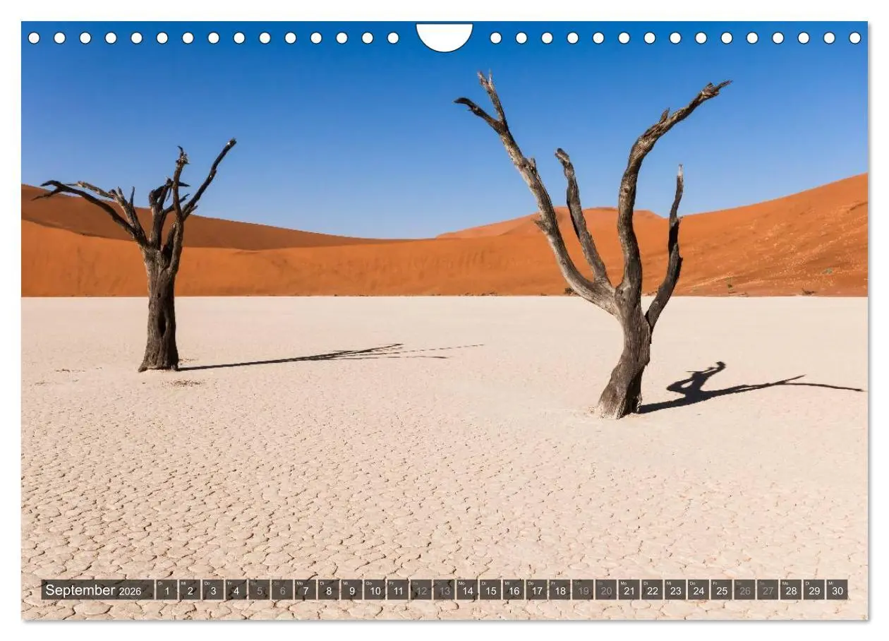 Bild: 9783516160291 | Wildes Namibia (Wandkalender 2026 DIN A4 quer), CALVENDO...