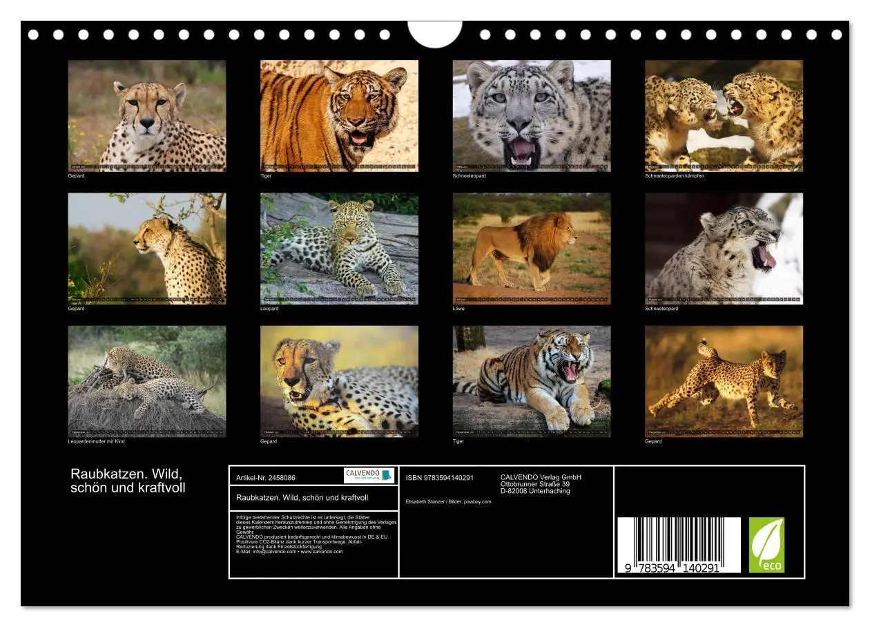 Bild: 9783594140291 | Raubkatzen. Wild, schön und kraftvoll (Wandkalender 2027 DIN A4...