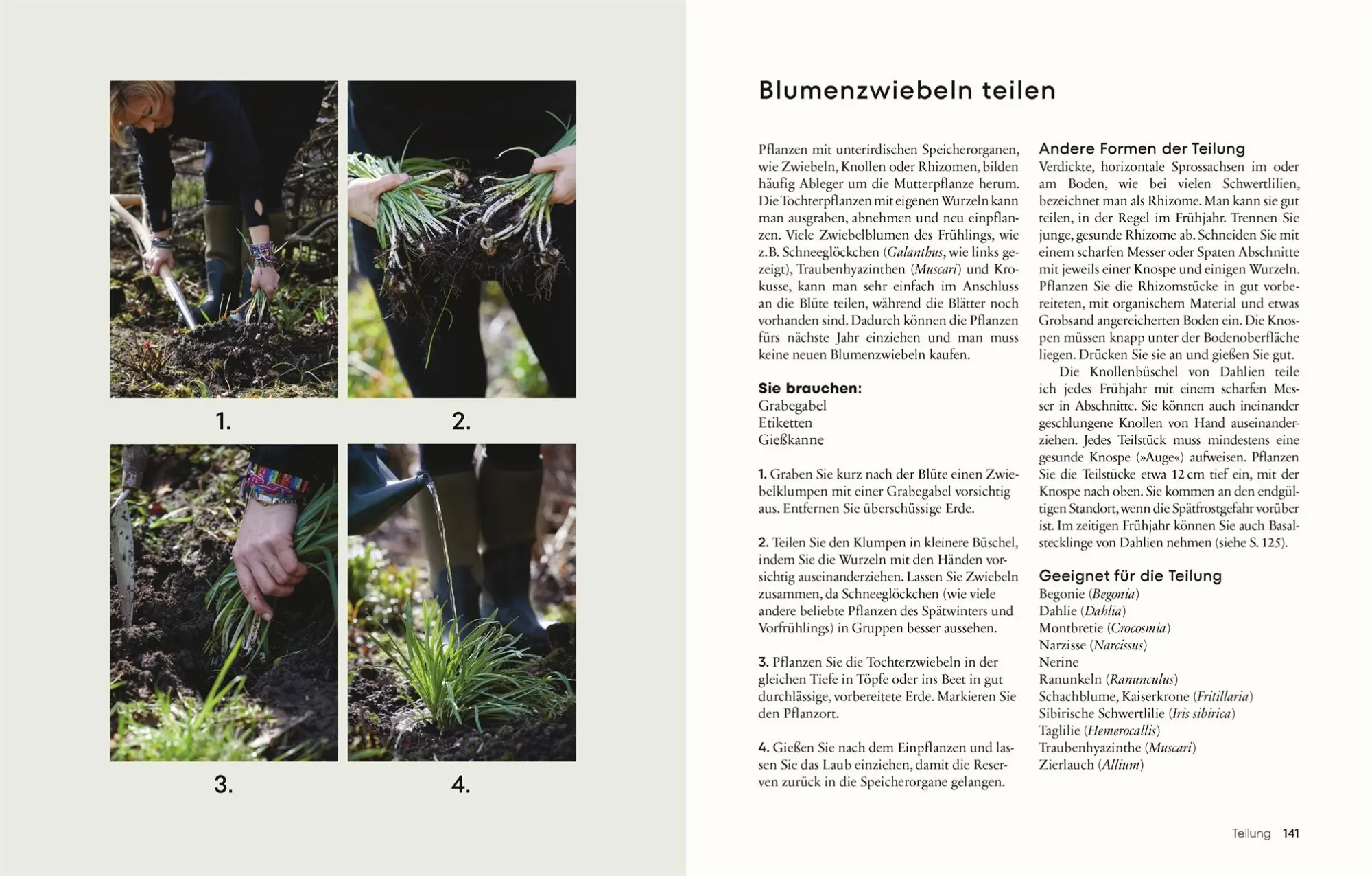 Bild: 9783831050291 | Gärtnern für wenig Geld | Anya Lautenbach | Buch | 192 S. | Deutsch