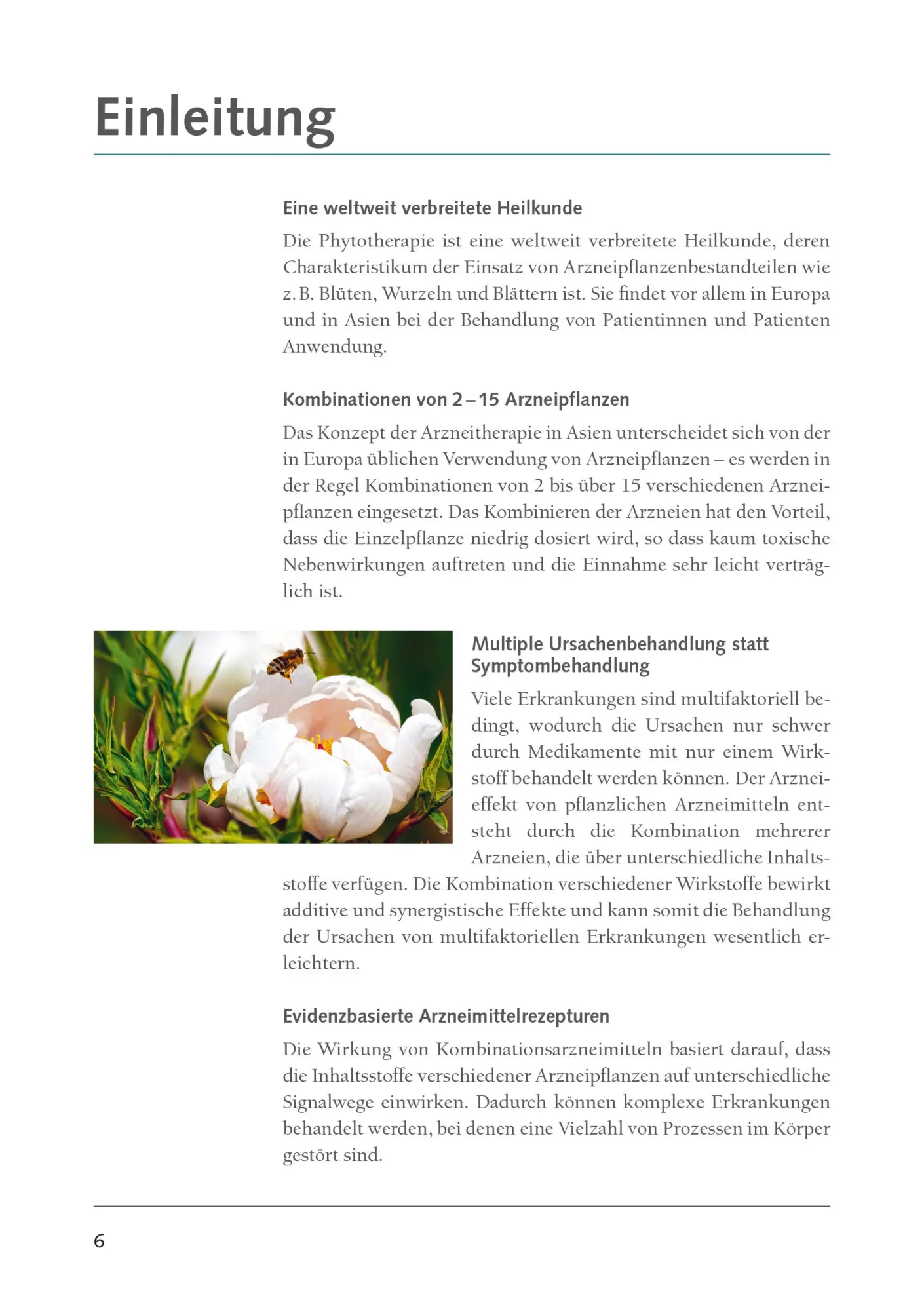 Bild: 9783969140291 | Klassische Rezepturen der asiatischen Phytotherapie | TCM | Buch