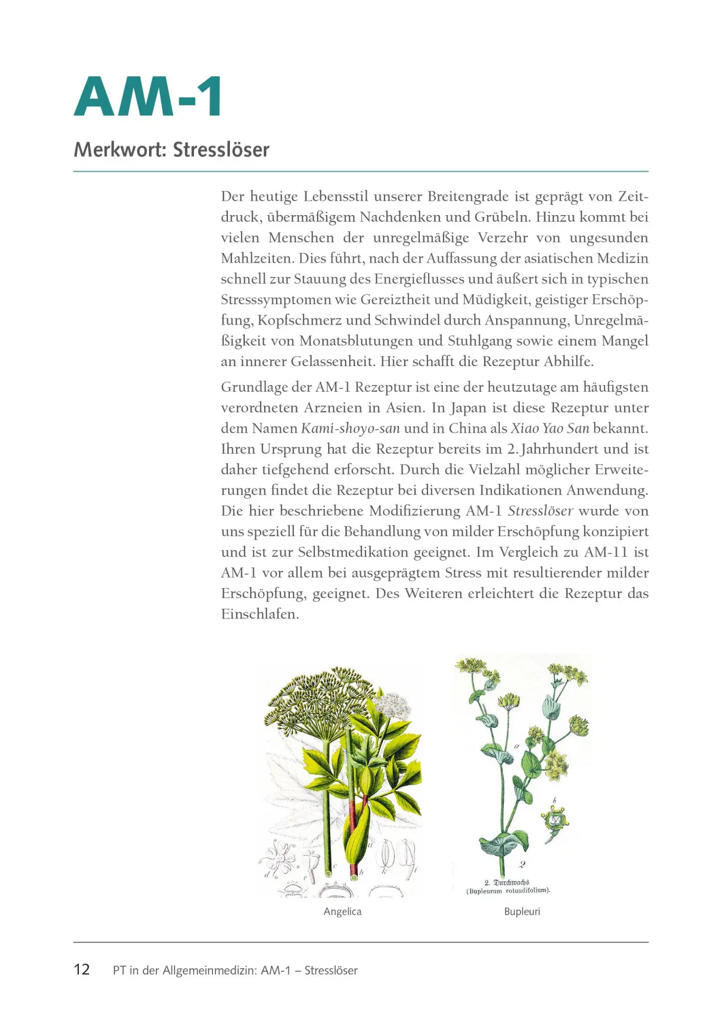 Bild: 9783969140291 | Klassische Rezepturen der asiatischen Phytotherapie | TCM | Buch