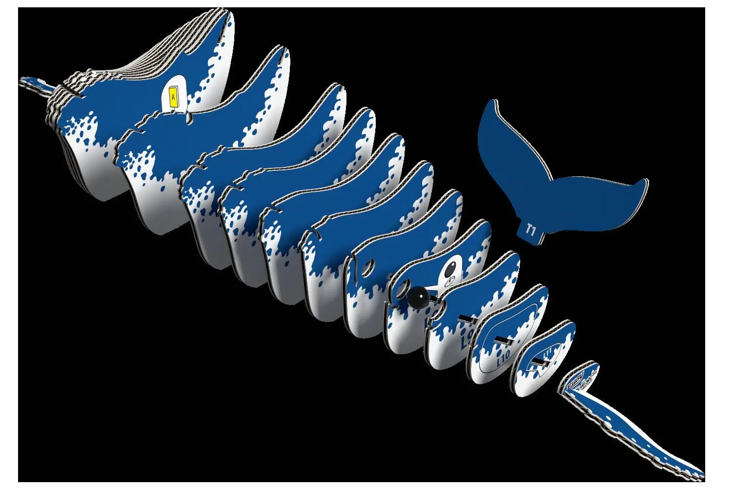 Bild: 9421035150491 | EUGY - 3D Bastelset Buckelwal | Kit (Bastelset) | In Karton | 650051