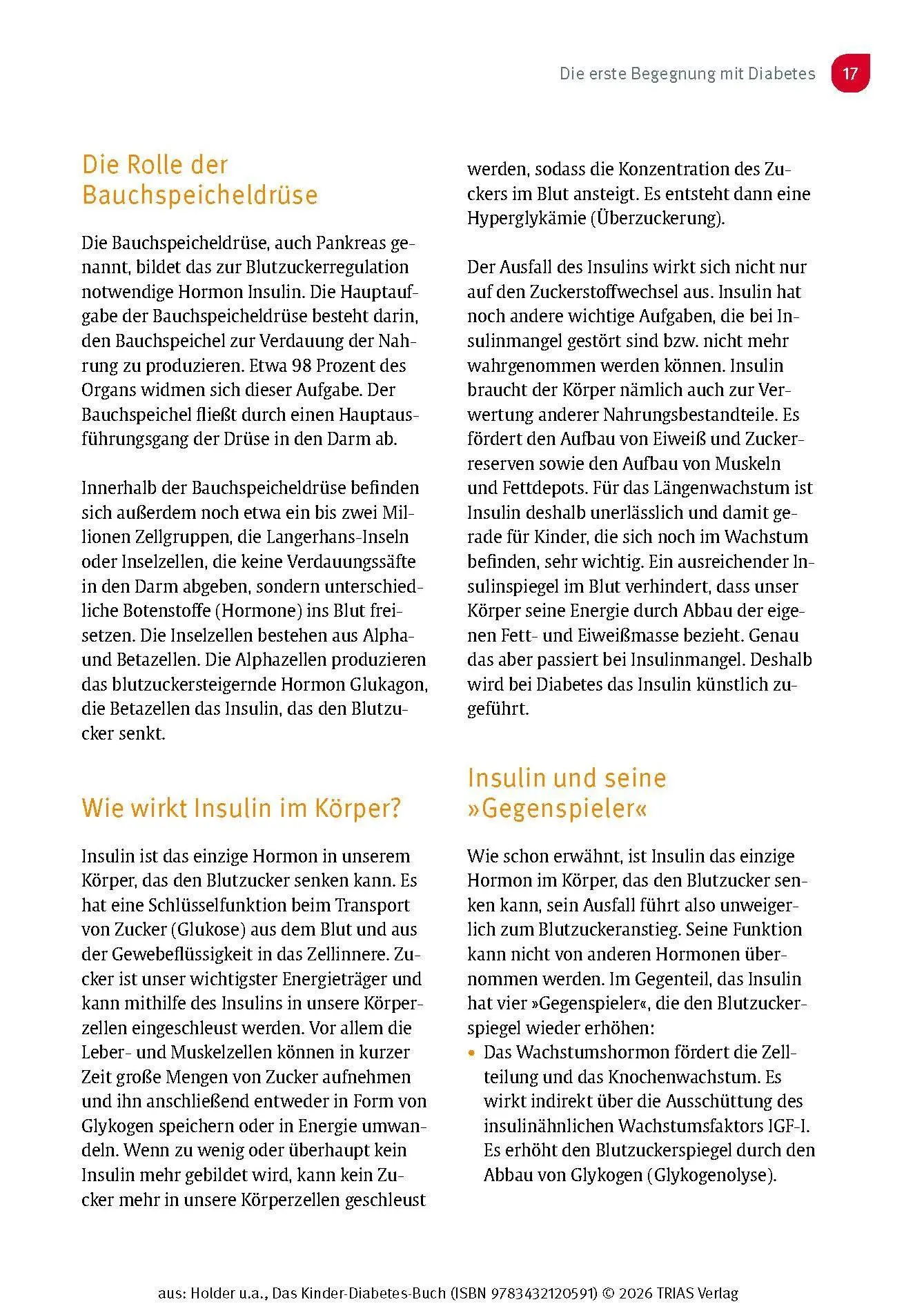 Bild: 9783432120591 | Das Kinder-Diabetes-Buch | Unbeschwert groß werden mit Typ-1-Diabetes