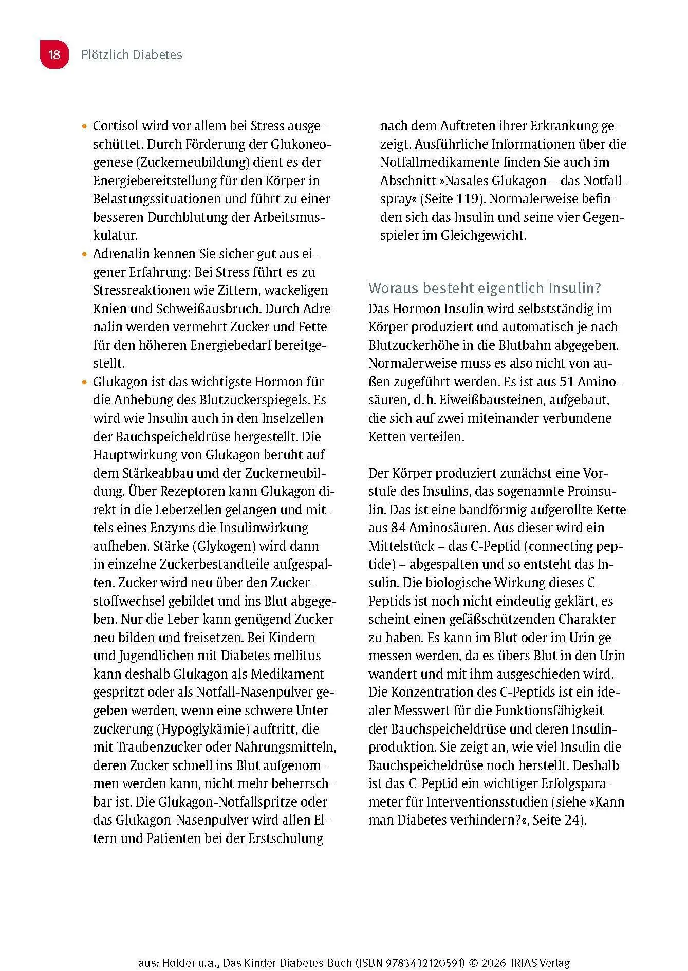Bild: 9783432120591 | Das Kinder-Diabetes-Buch | Unbeschwert groß werden mit Typ-1-Diabetes
