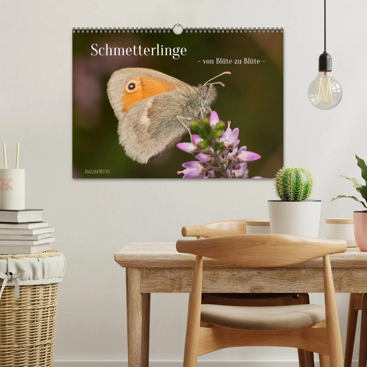 Bild: 9783457590591 | Schmetterlinge - von Blüte zu Blüte - (Wandkalender 2026 DIN A3...