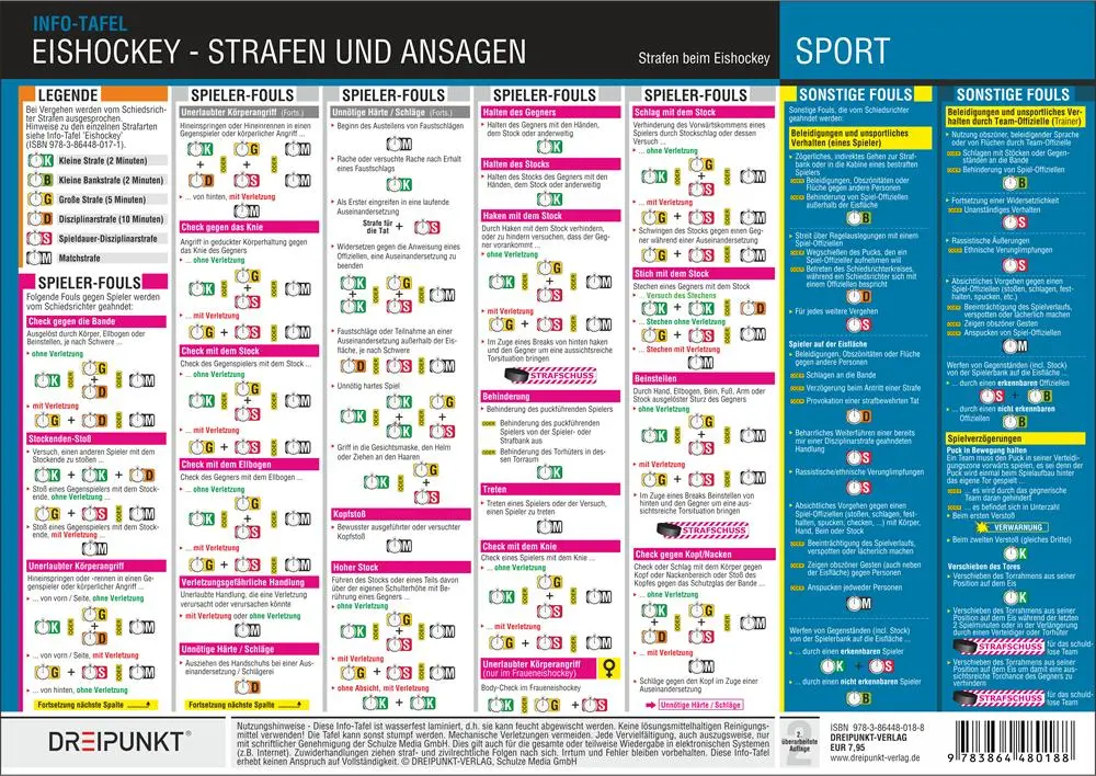 Bild: 9783864480591 | Tafel-Set Eishockey | Michael Schulze | Poster | 5 S. | Deutsch | 2016