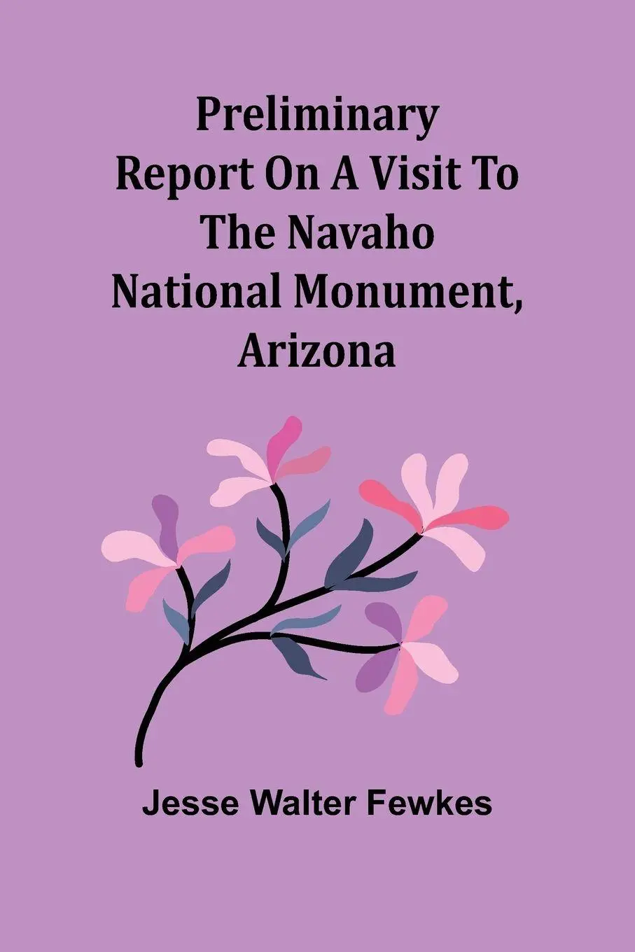 Cover: 9789362090591 | Preliminary report on a visit to the Navaho National Monument, Arizona