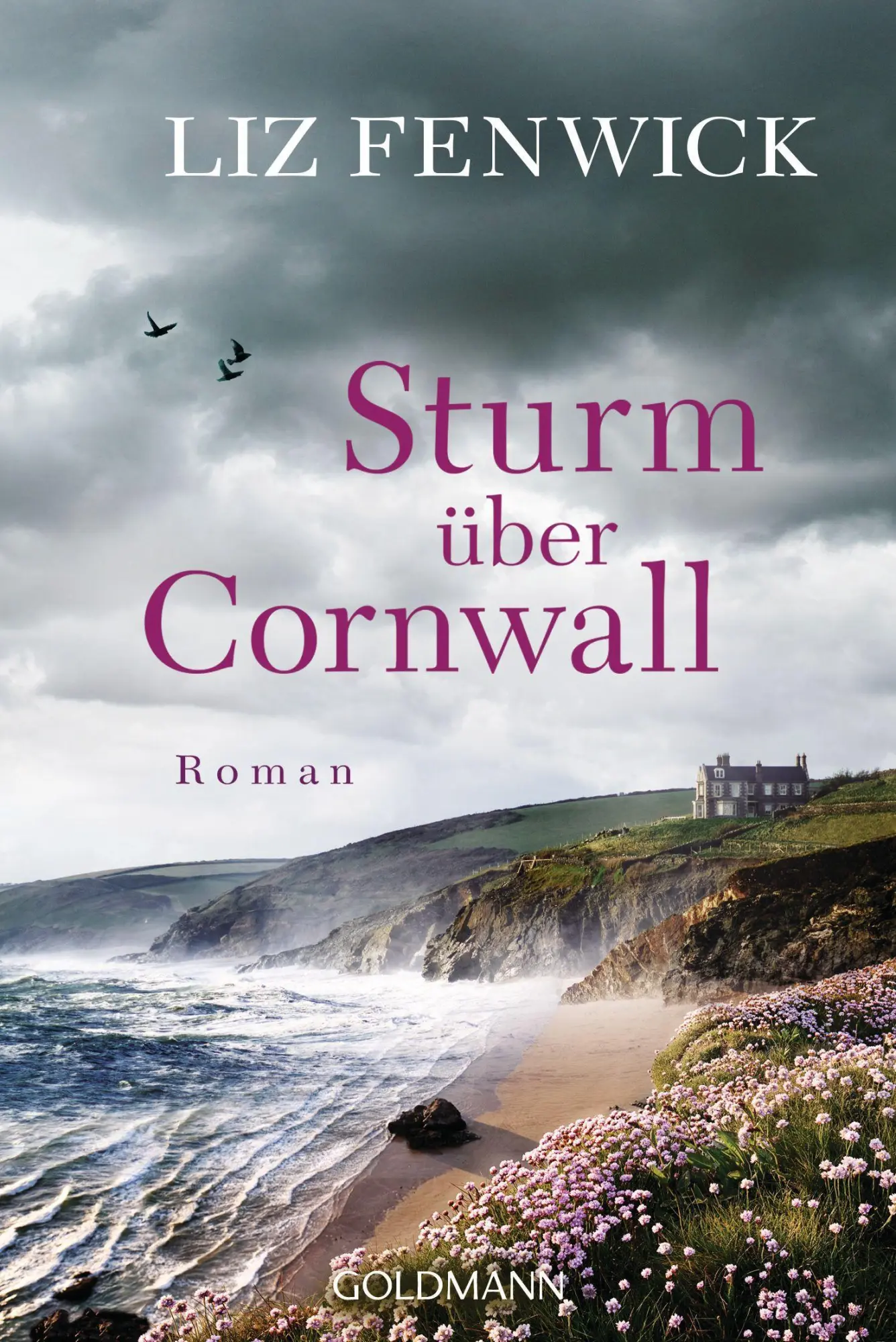 Cover: 9783442490691 | Sturm über Cornwall | Roman | Liz Fenwick | Taschenbuch | 528 S.