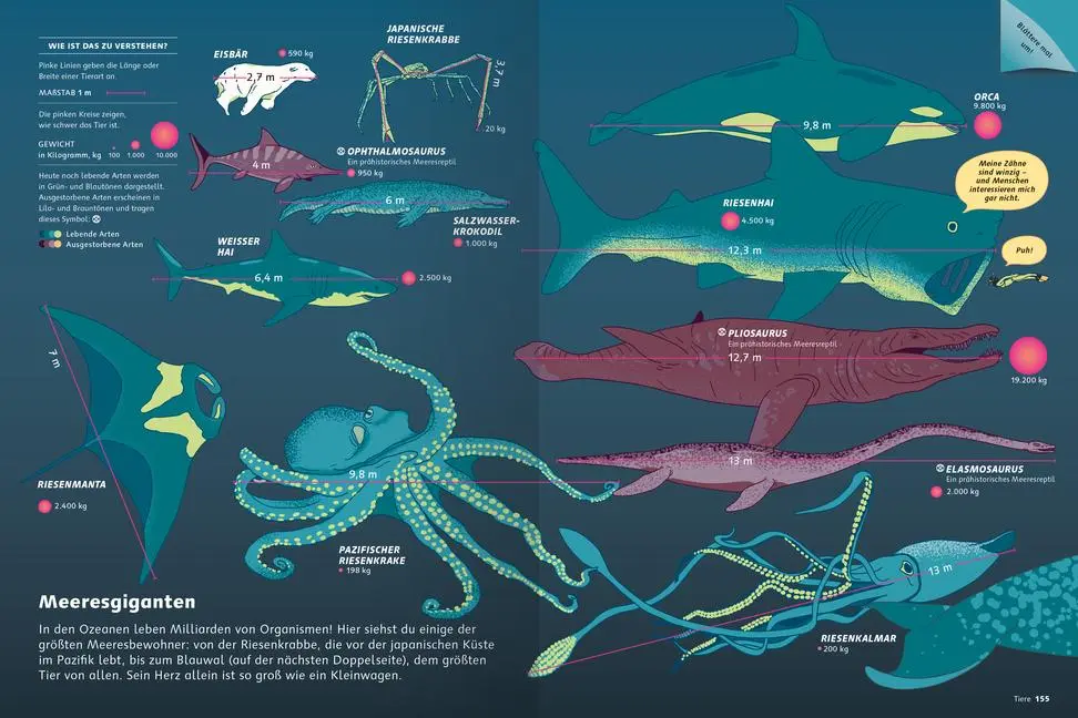 Bild: 9783473480791 | Das große Buch der Infografiken | Ein visuelles Lexikon | Buch | 2024
