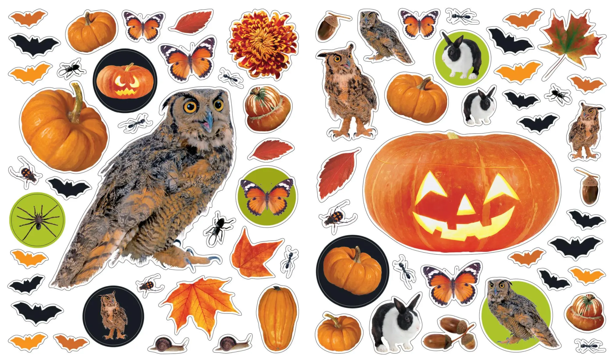 Bild: 9780761170891 | Eyelike Stickers: Halloween | Workman Publishing | Taschenbuch | 2011