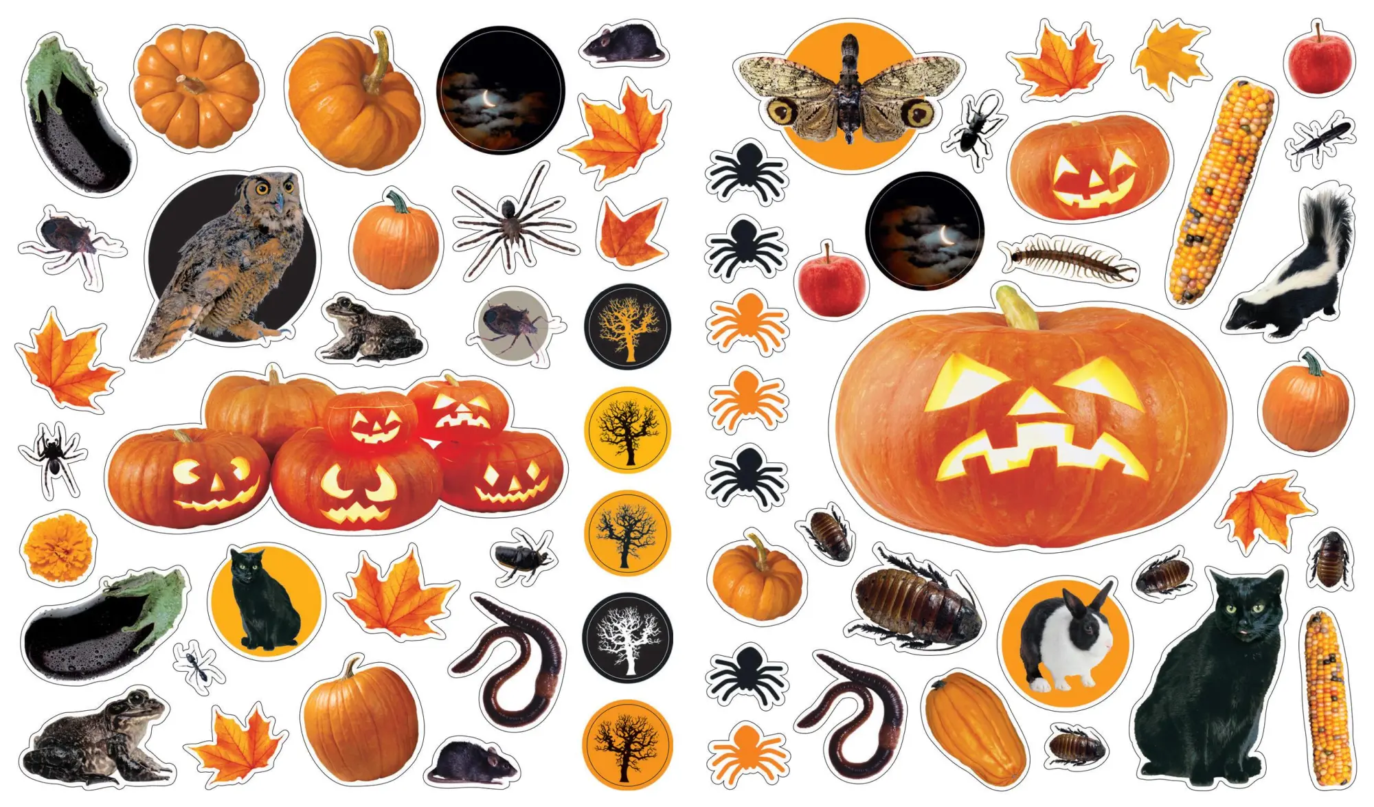 Bild: 9780761170891 | Eyelike Stickers: Halloween | Workman Publishing | Taschenbuch | 2011