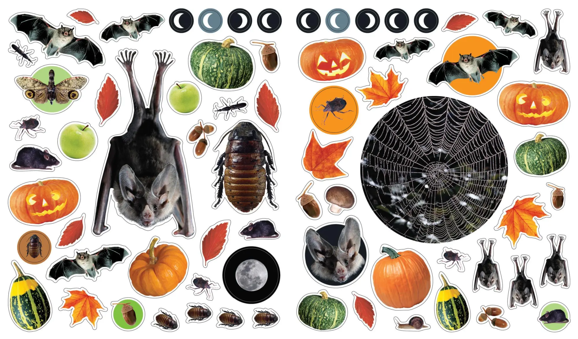 Bild: 9780761170891 | Eyelike Stickers: Halloween | Workman Publishing | Taschenbuch | 2011