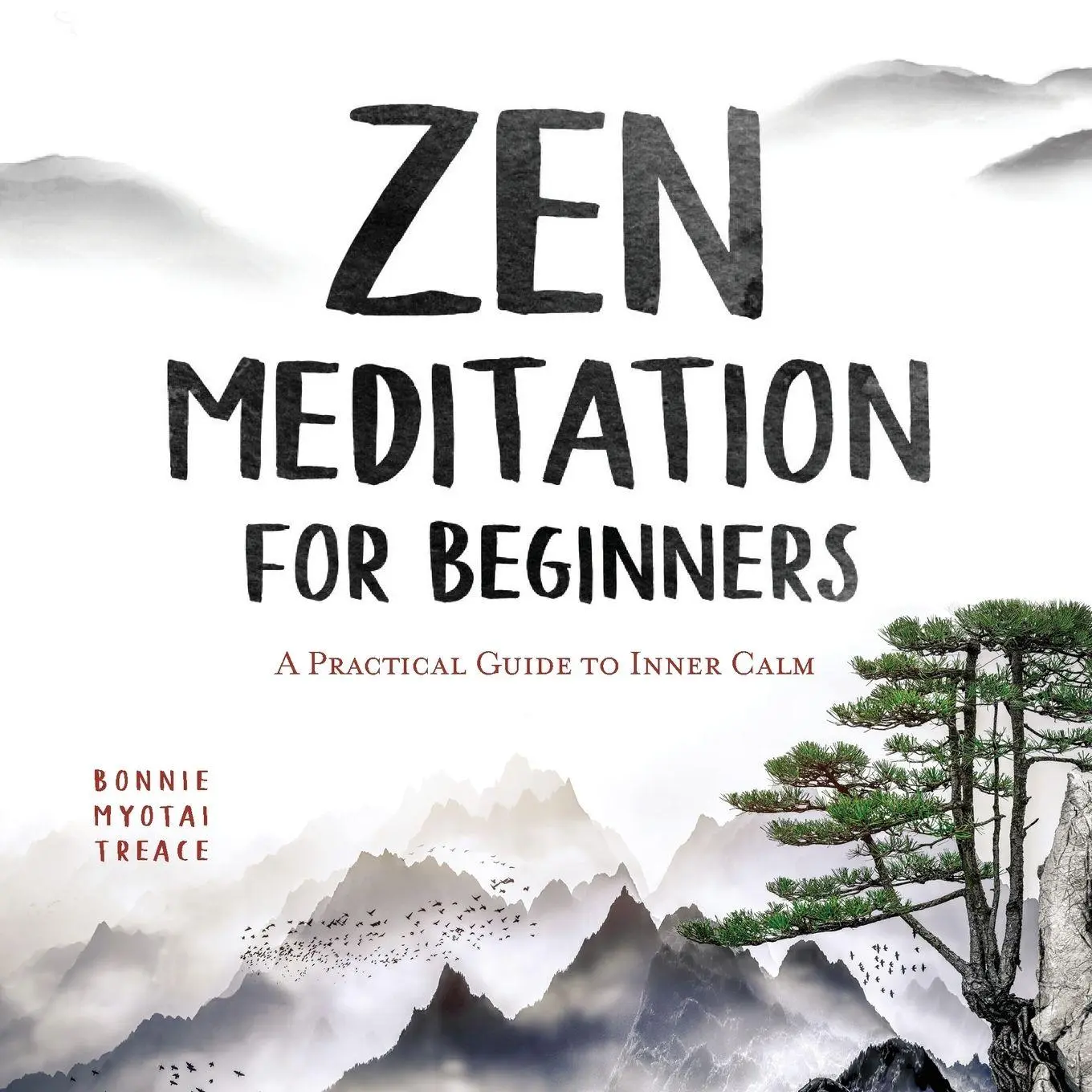Cover: 9781647390891 | Zen Meditation for Beginners | A Practical Guide to Inner Calm | Buch