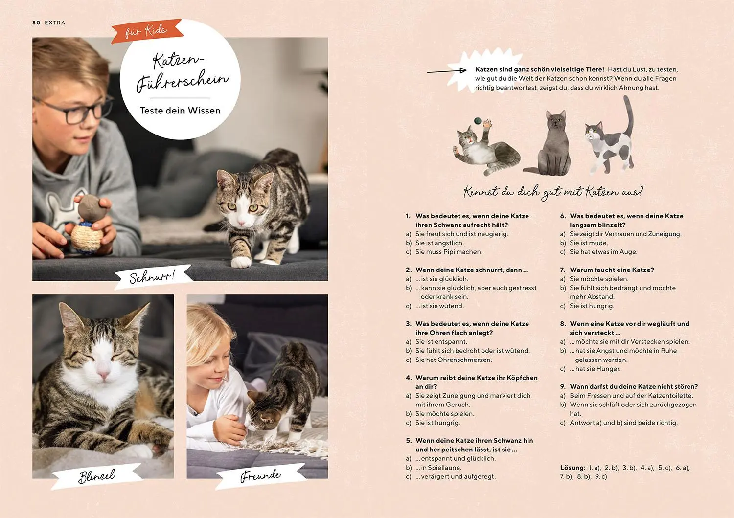 Bild: 9783440180891 | Katzensprache | Kerstin Höfkes | Taschenbuch | Mein Tier | 104 S.