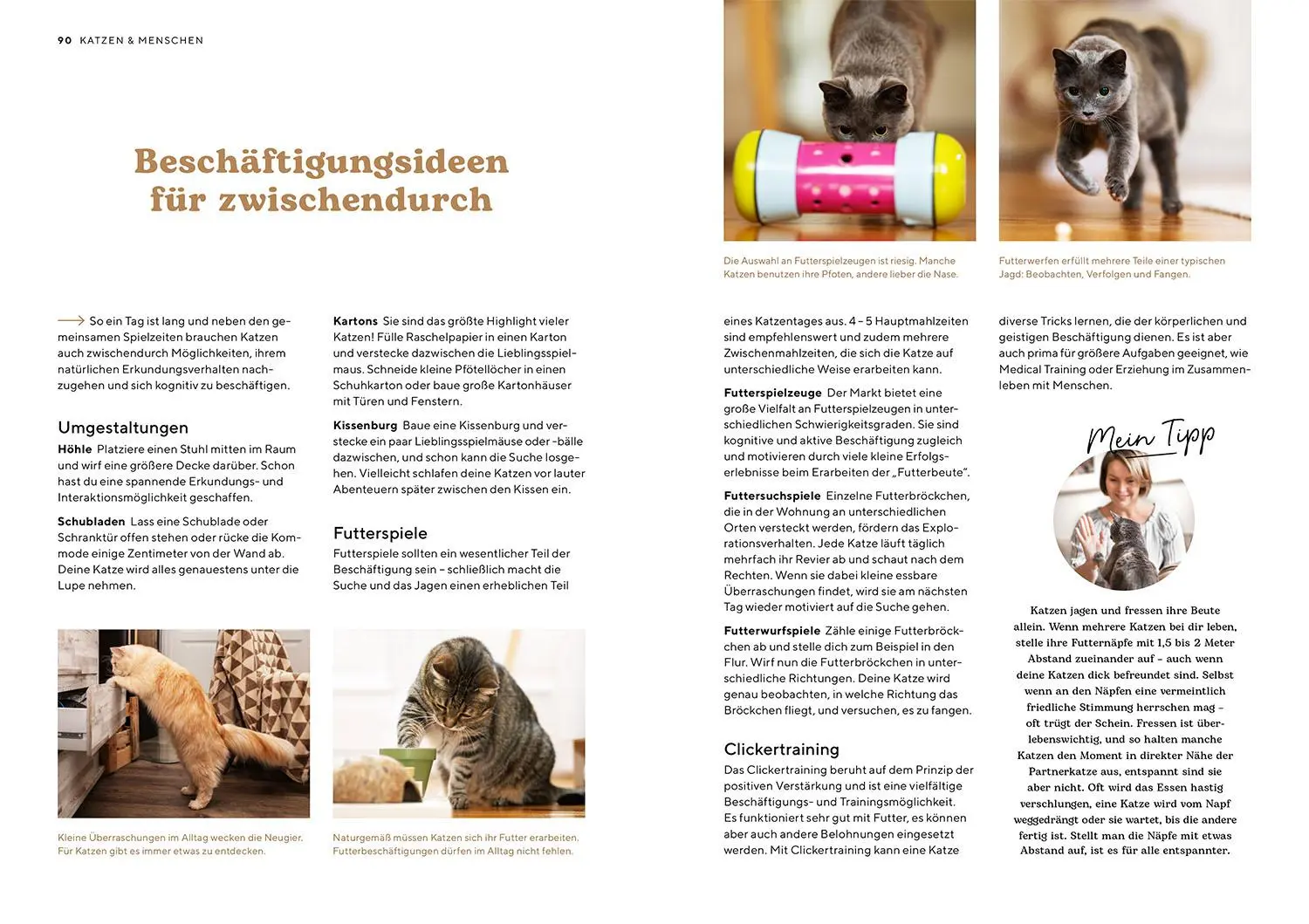 Bild: 9783440180891 | Katzensprache | Kerstin Höfkes | Taschenbuch | Mein Tier | 104 S.