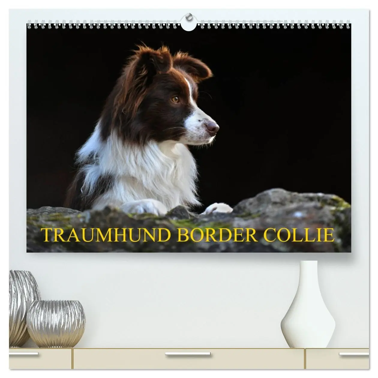Cover: 9783457700891 | Traumhund Border Collie (hochwertiger Premium Wandkalender 2026 DIN...