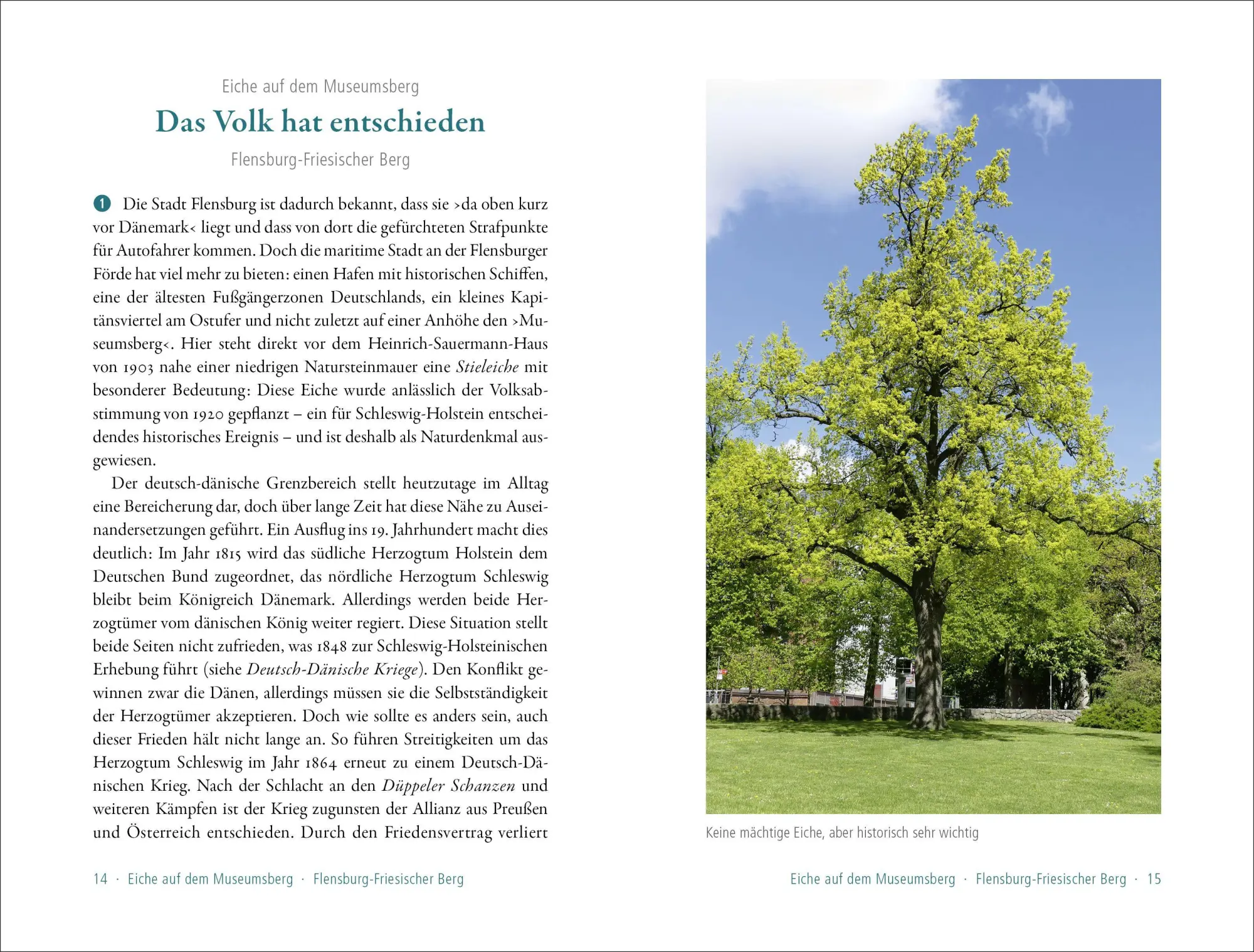 Bild: 9783957990891 | 50 sagenhafte Naturdenkmale in Schleswig-Holstein | Ulrike Schröder