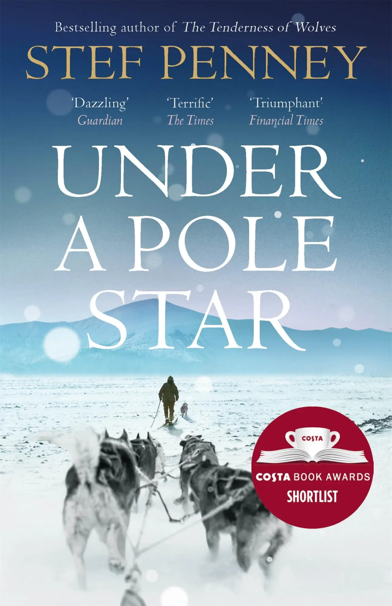 Cover: 9781786481191 | Under a Pole Star | Stef Penney | Taschenbuch | 608 S. | Englisch