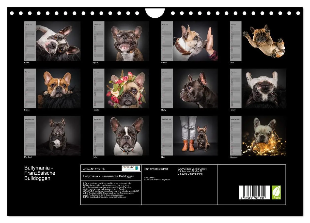Bild: 9783435031191 | Bullymania - Französische Bulldoggen (Wandkalender 2025 DIN A4...
