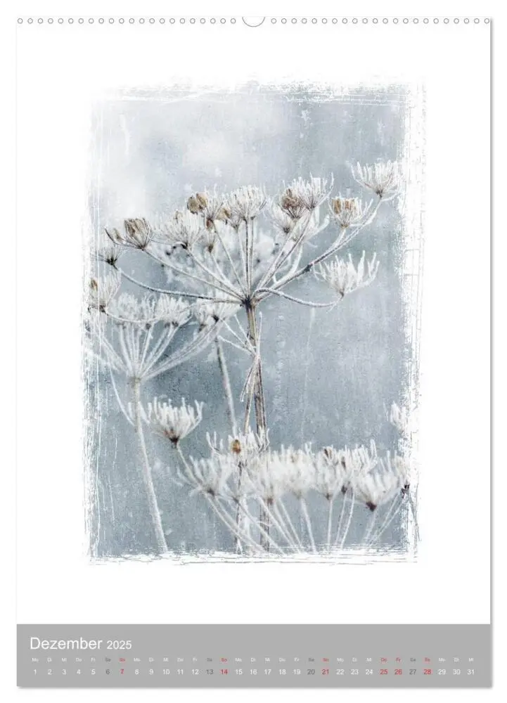 Bild: 9783457051191 | Kunstwerk Natur (Wandkalender 2025 DIN A2 hoch), CALVENDO...