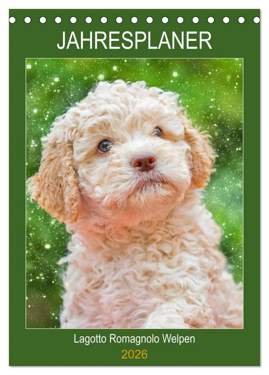 Cover: 9783516381191 | Jahresplaner Lagotto Romagnolo Welpen (Tischkalender 2026 DIN A5...