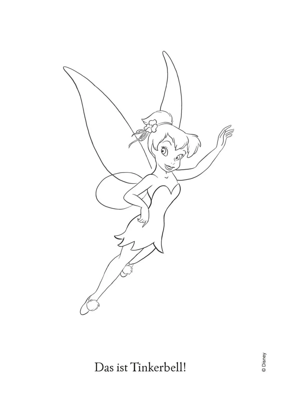Bild: 9783845131191 | Disney Kreative Beschäftigung: Disney Fairies: Feenzauber zum Ausmalen