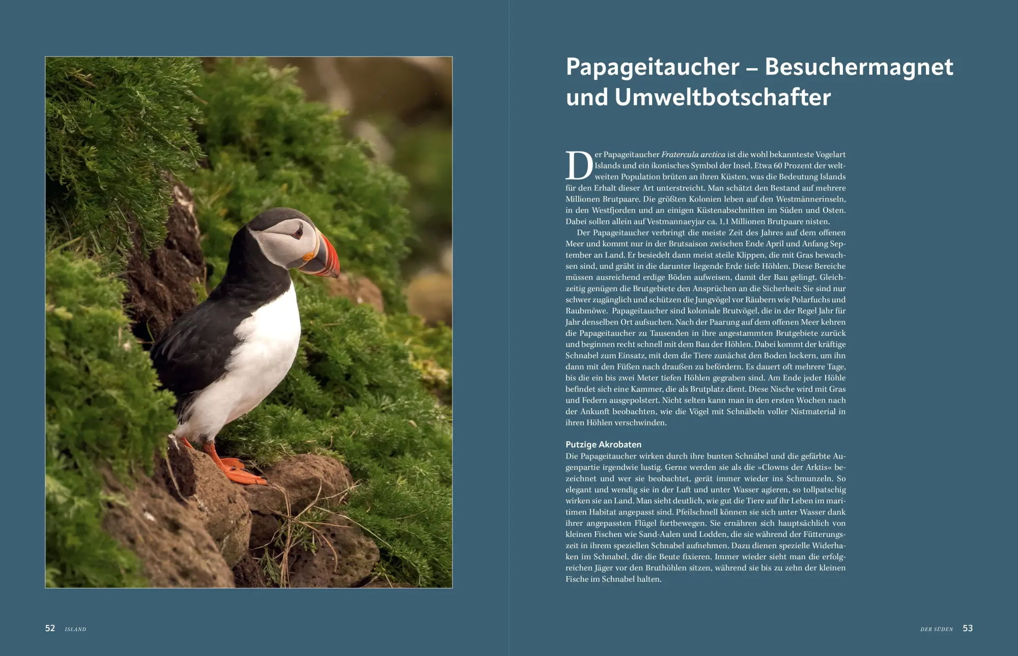 Bild: 9783987011191 | Island | Im Reich der Nordlichter, Gletscher und Vulkane | Buch | 2025