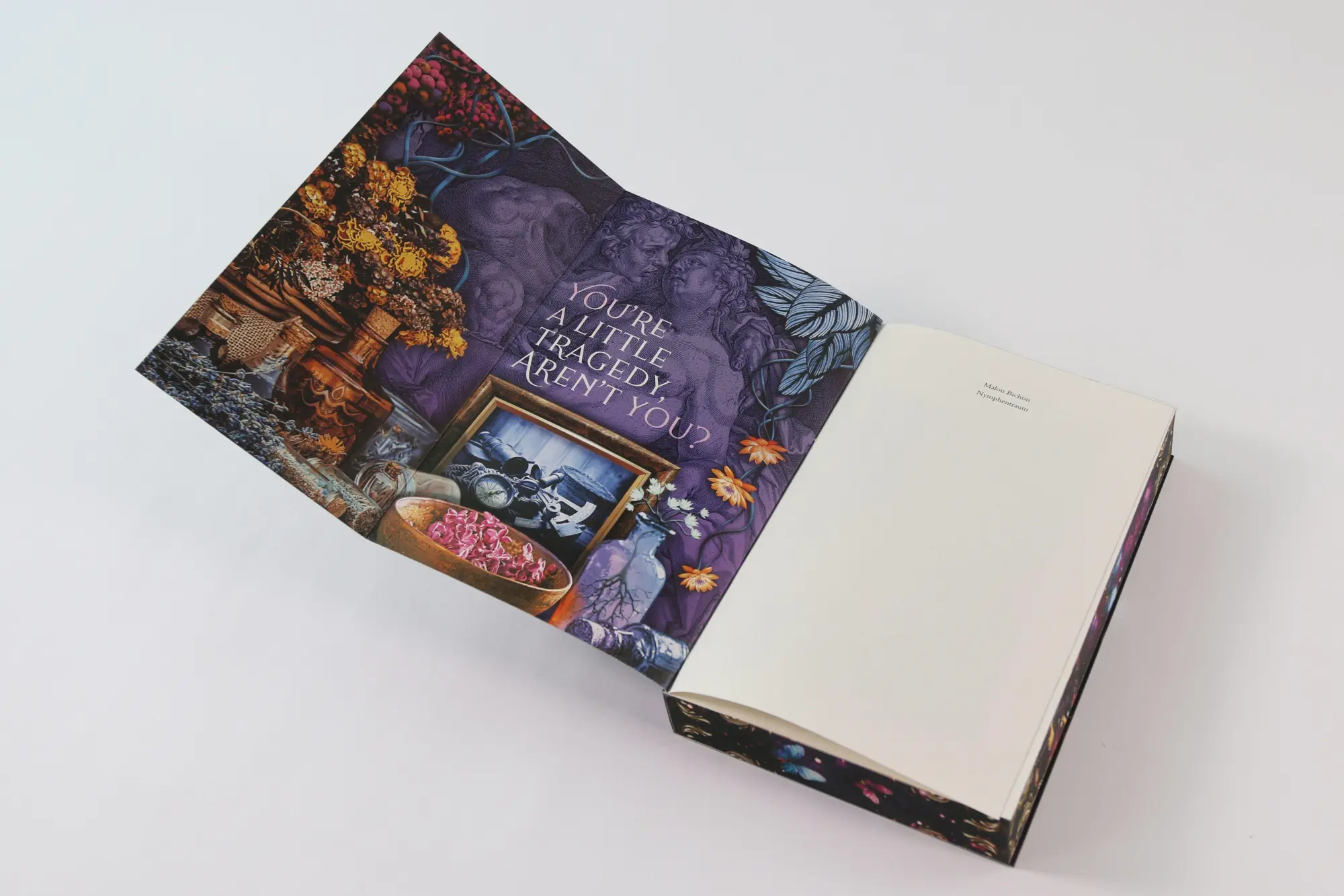Bild: 9783743221291 | Nymphentraum (Nektar und Ambrosia, Band 2) | Malou Bichon | Buch
