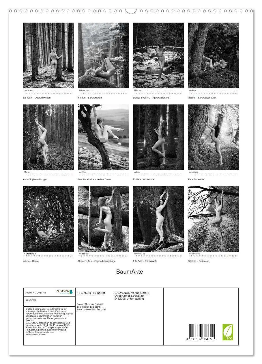 Bild: 9783516361391 | BaumAkte (Wandkalender 2026 DIN A2 hoch), CALVENDO Monatskalender