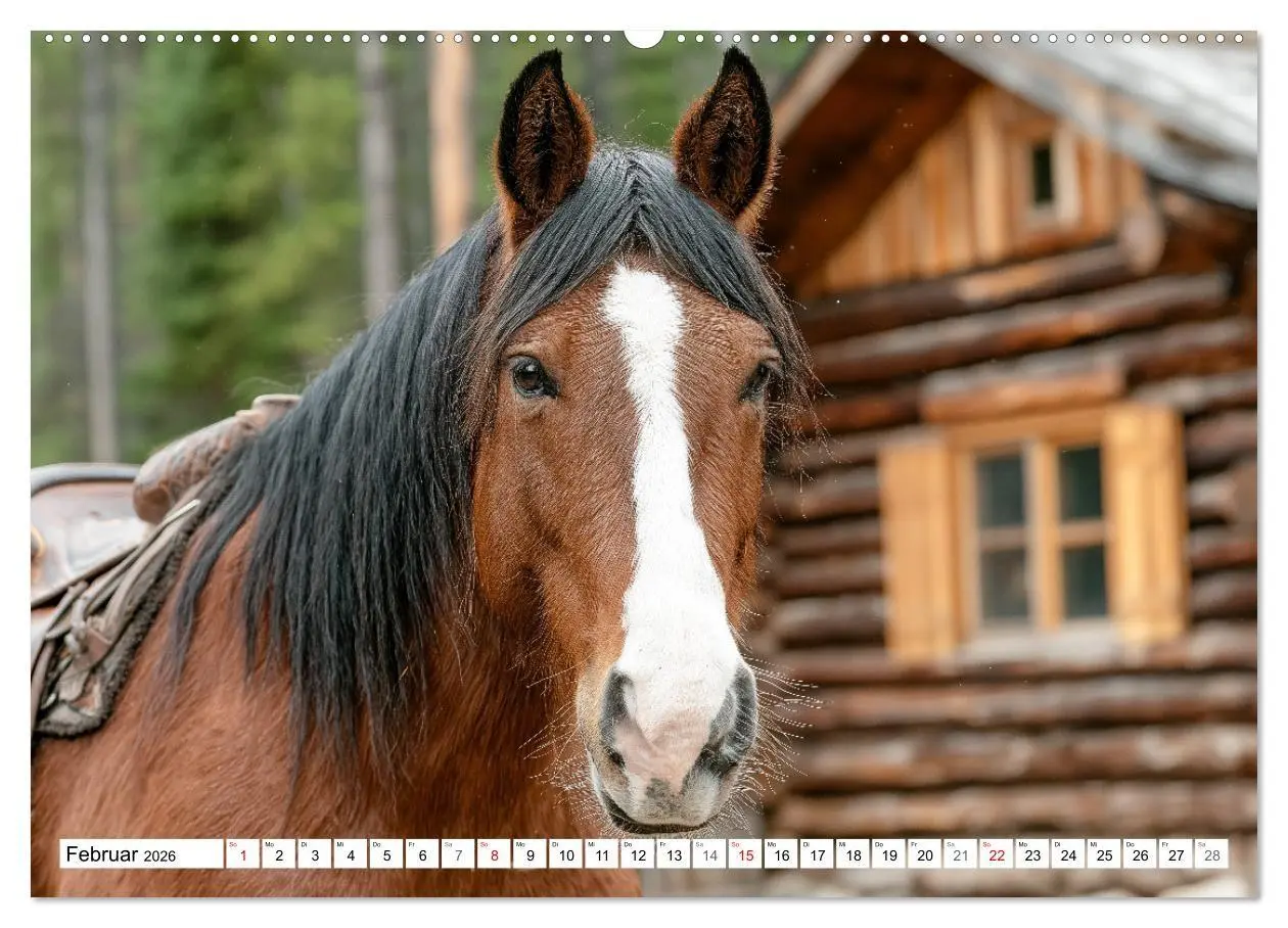 Bild: 9783516671391 | Pferde in freier Natur (hochwertiger Premium Wandkalender 2026 DIN...
