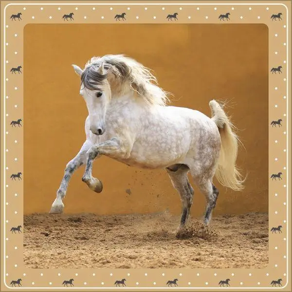 Bild: 9783819301391 | Pferdekalender 2027 | Verlag Korsch | Kalender | 13 S. | Deutsch