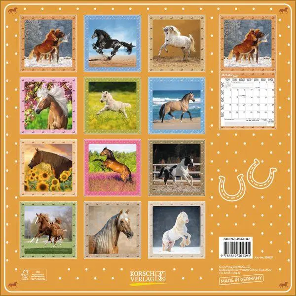 Bild: 9783819301391 | Pferdekalender 2027 | Verlag Korsch | Kalender | 13 S. | Deutsch