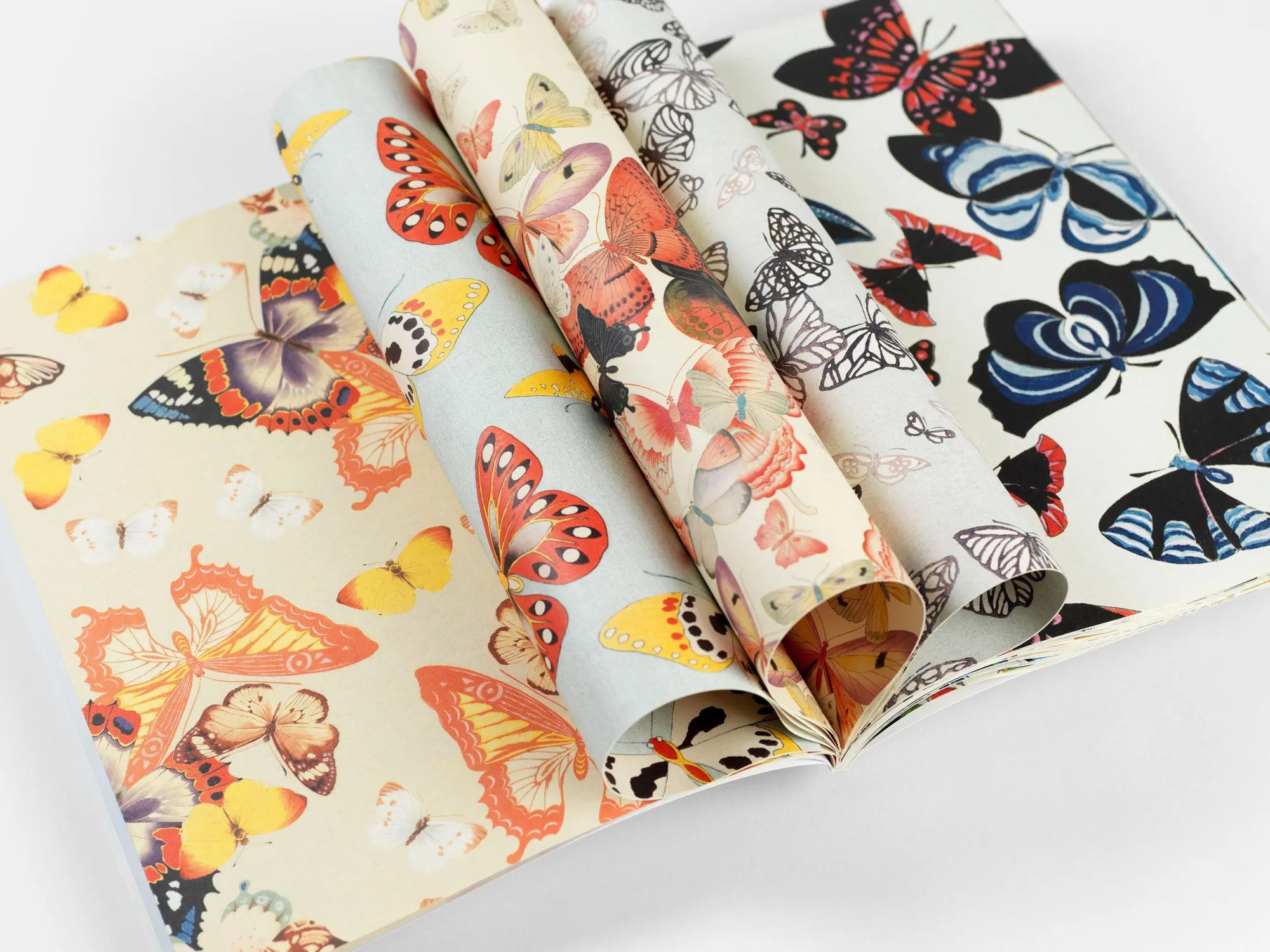 Bild: 9789460091391 | Japanese Butterflies | Gift &amp; Creative Paper Book Vol. 117 | Roojen