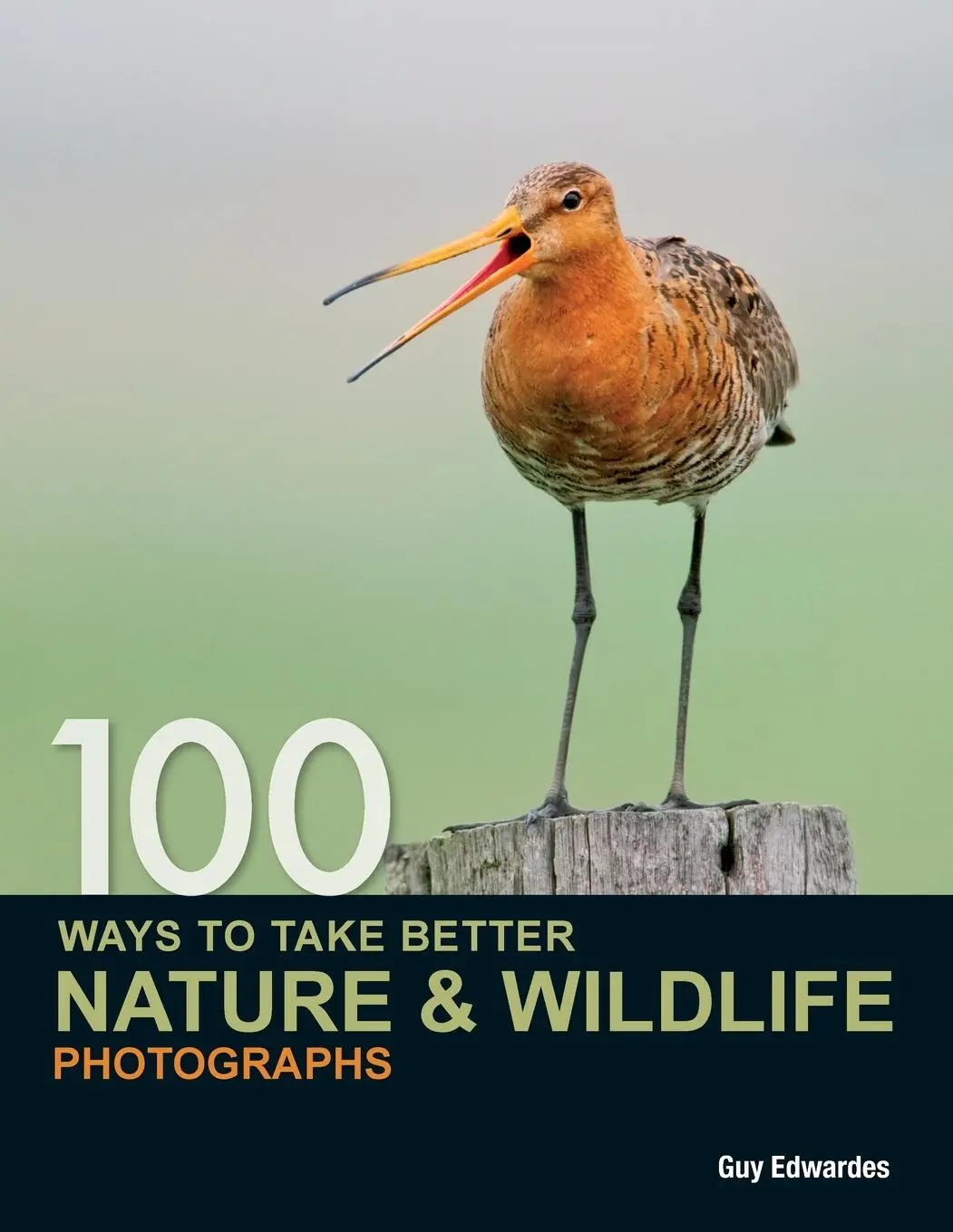 Cover: 9780715331491 | 100 Ways to Take Better Nature &amp; Wildlife Photographs | Guy Edwardes