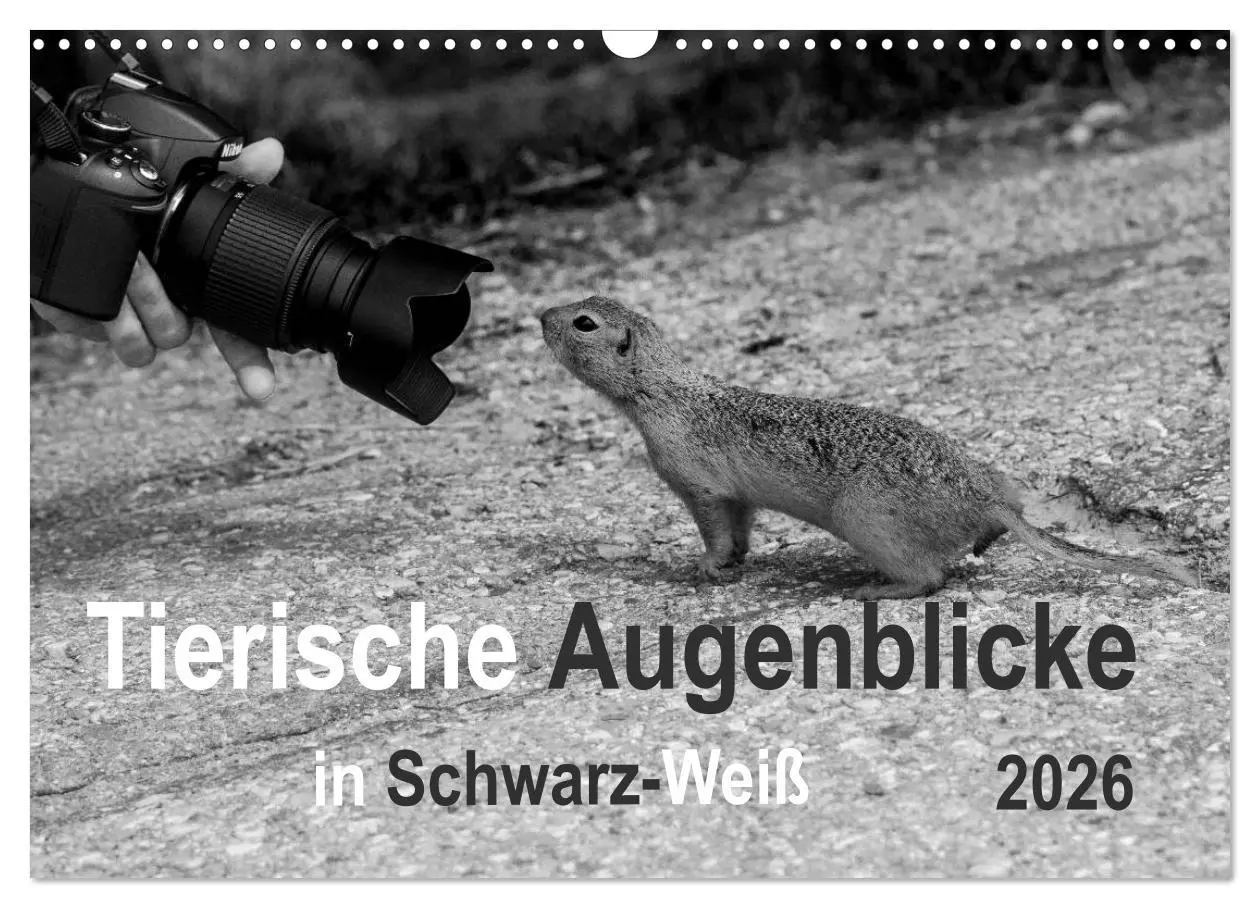 Cover: 9783457951491 | Tierische Augenblicke in Schwarz-Weiß (Wandkalender 2026 DIN A3...