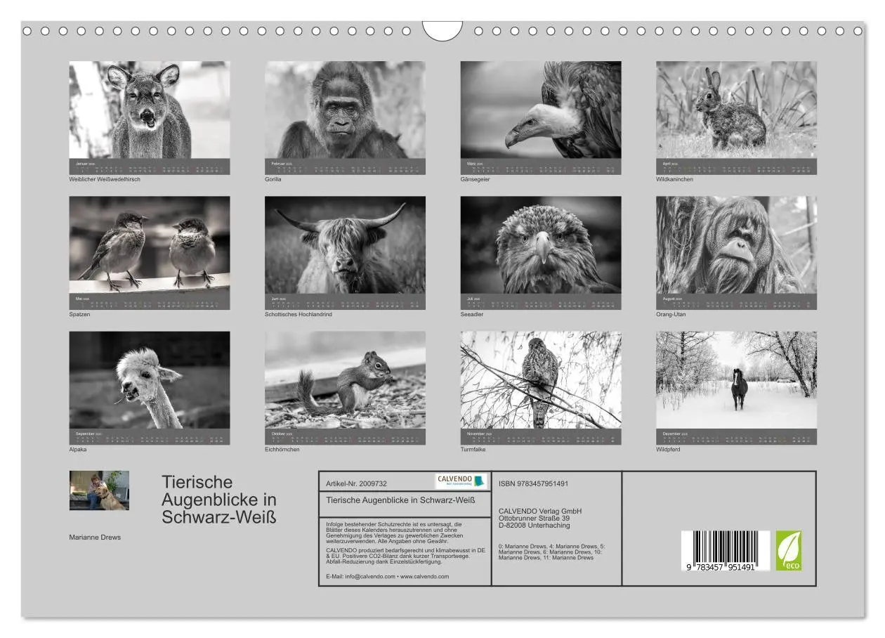 Bild: 9783457951491 | Tierische Augenblicke in Schwarz-Weiß (Wandkalender 2026 DIN A3...
