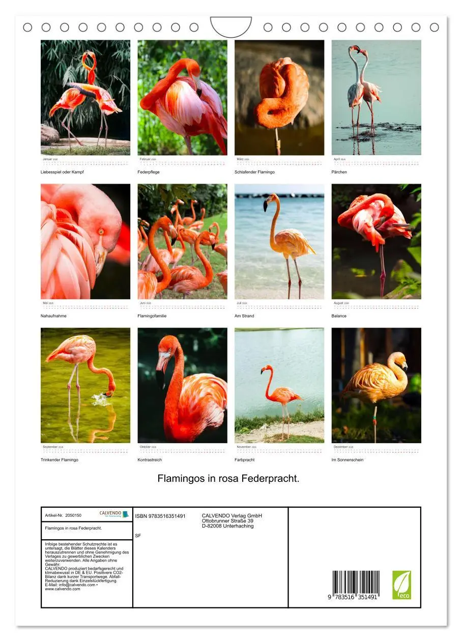 Bild: 9783516351491 | Flamingos in rosa Federpracht. (Wandkalender 2026 DIN A4 hoch),...