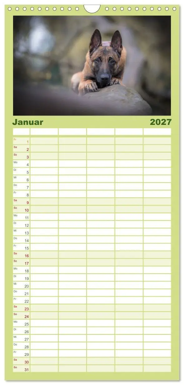 Bild: 9783594331491 | Familienplaner 2027 - Belgischer Schäferhund - Der Malinois mit 5...
