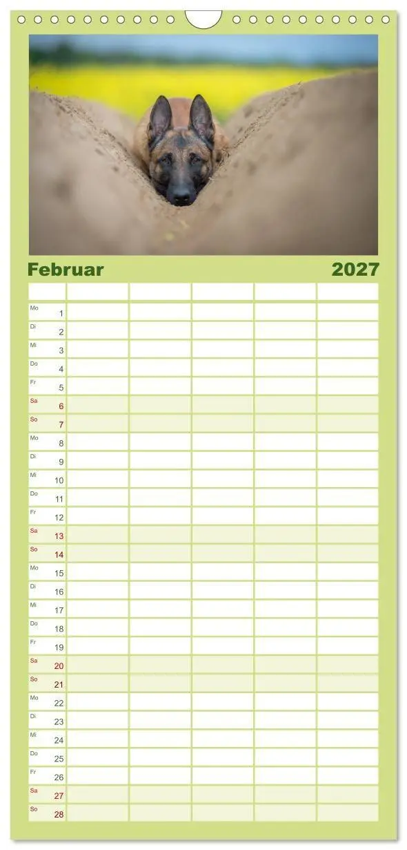 Bild: 9783594331491 | Familienplaner 2027 - Belgischer Schäferhund - Der Malinois mit 5...